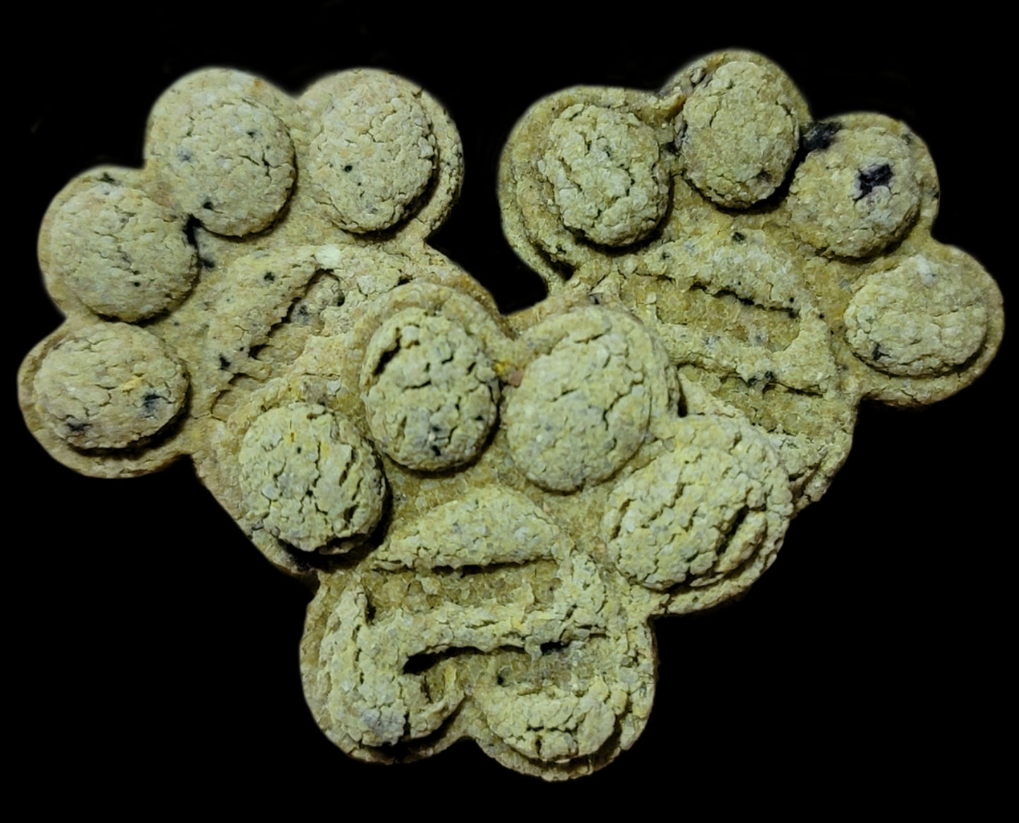 Pumpkin & Blueberry Biscuits