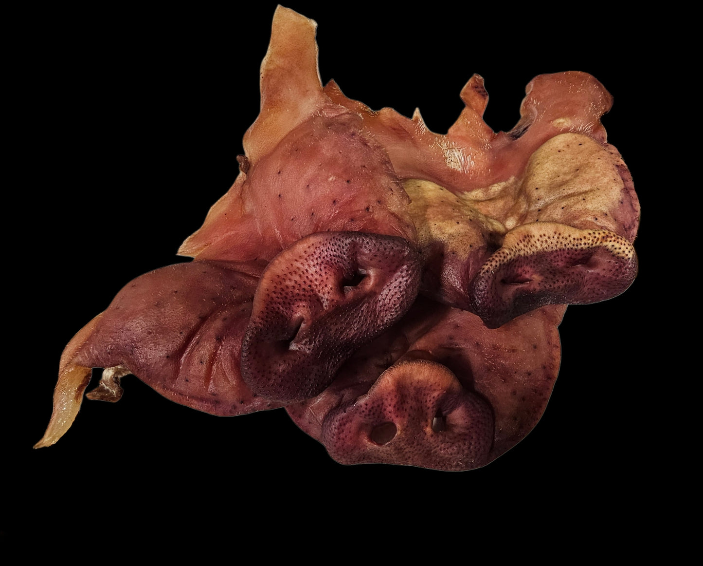 Pig Ears & Snouts w/face skin - Dehydrated