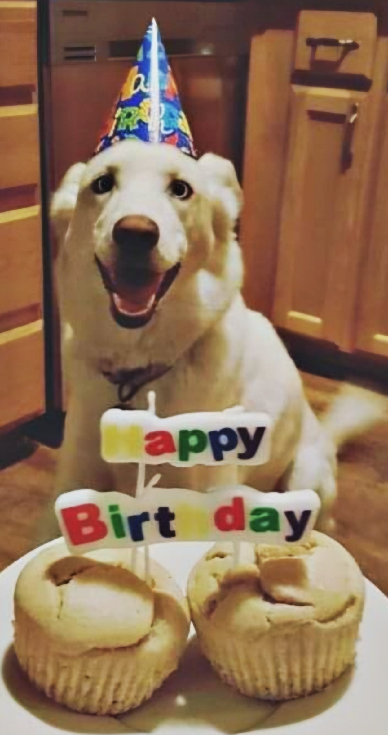 Birthday/Gotcha- Day Cakes