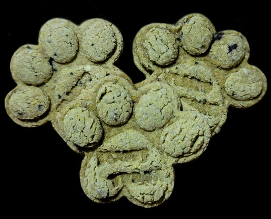 Pumpkin & Blueberry Biscuits