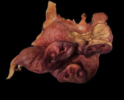 Pig Ears & Snouts w/face skin - Dehydrated