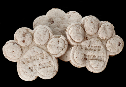 Beef Biscuits