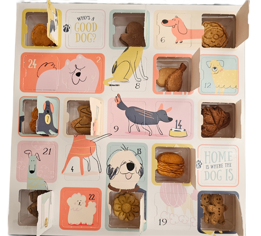 Holiday Advent Calendar